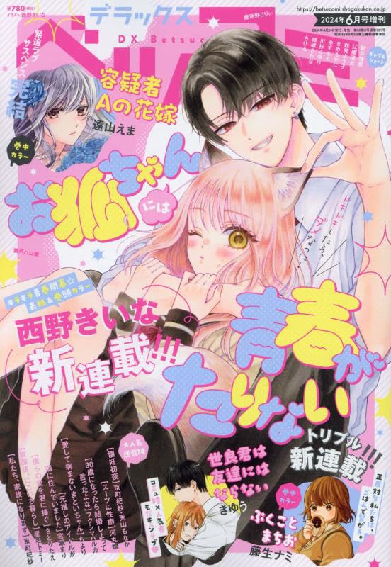 DX Betsucomi No.6 / 2024