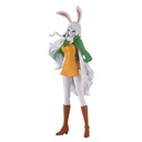 DXF THE GRANDLINE LADY WANOKUNI Vol 09 CARROT