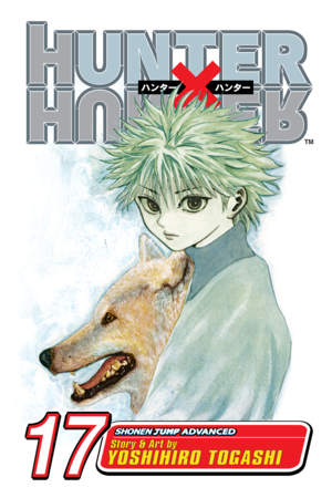 Hunter X Hunter Vol 17     