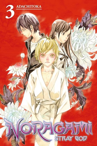 Noragami : Stray God Vol 03